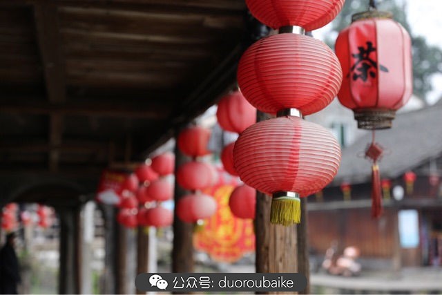 回忆之旅最适合带的植物,野外旅游必须记住的植物
