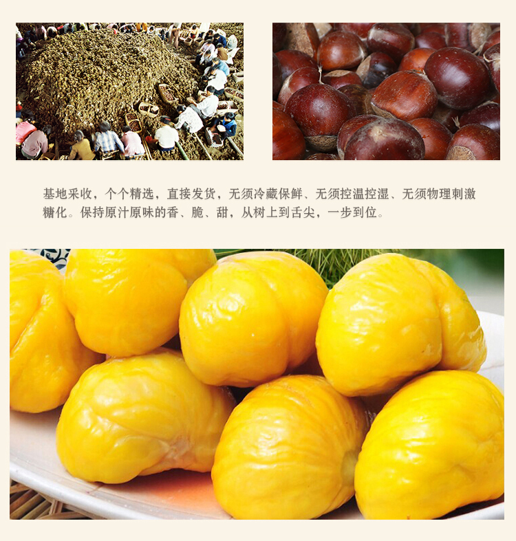 缃楃敯鏉挎牀椋庢櫙瑙嗛,缃楃敯鏉挎牀鍗抽鏉挎牀