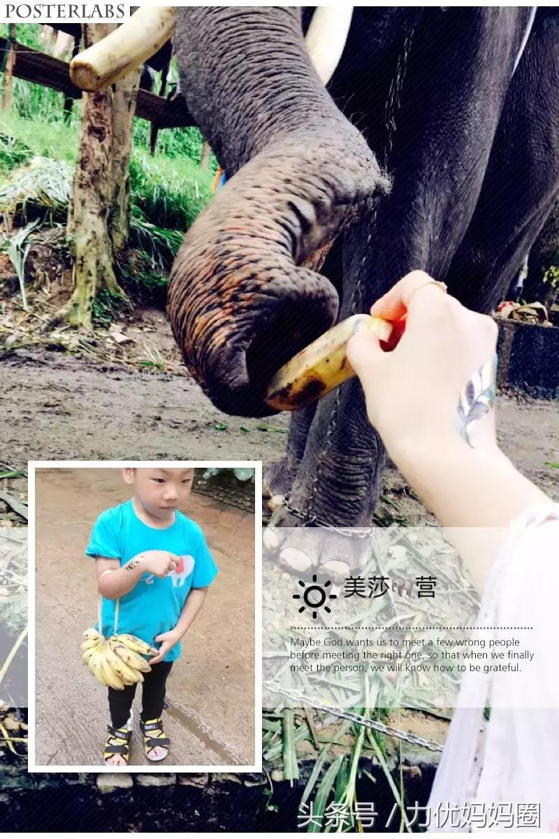 清迈快要被这个美妈玩坏了哟