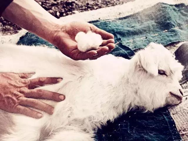 买围巾查什么词,买围巾攻略