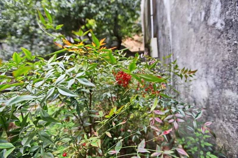 西涧草堂：书藏丙舍，移转多地（下）韦力撰