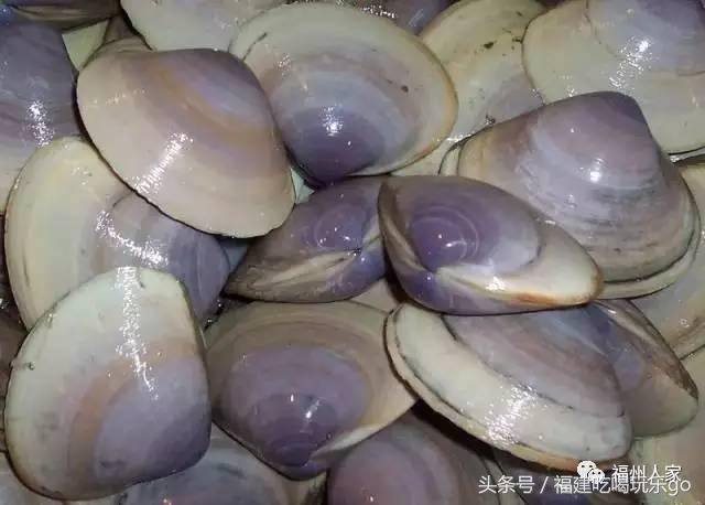 福建十大公认最好吃的菜,福建海鲜美食排行榜前十名