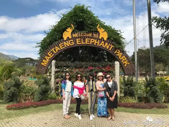 如果你喜欢清迈,泰国如果你爱一个人