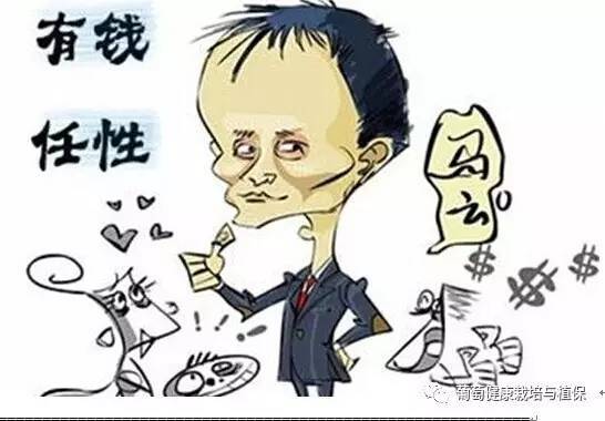 葡萄观光采摘方法视频,葡萄观光采摘园景观设施
