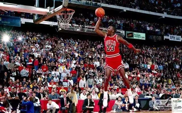 成都ifs熊猫叫什么名字,成都ifs熊猫的看点是什么