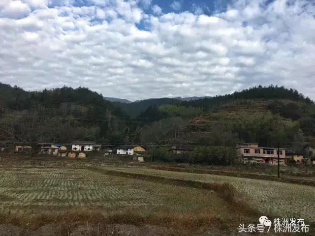 2019株洲改造工程,株洲路改造最新消息