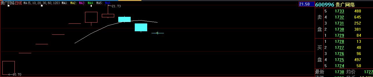 新股破发200多元一路下行,去年股票跌得最惨的股票