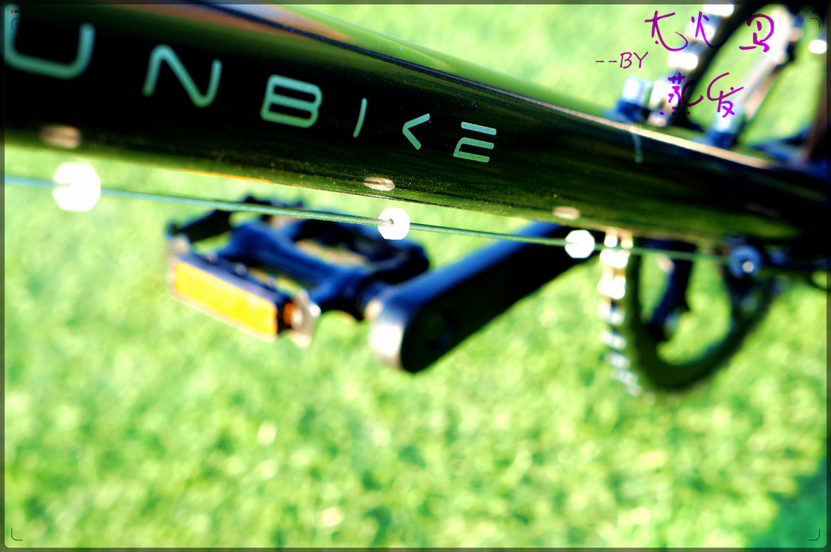 浜戦┈c1娴嬭瘎,浜戦┈c1缂虹偣