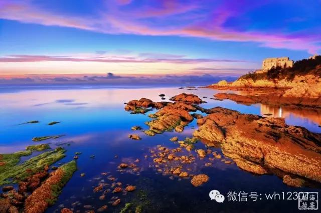 威海有毒海洋生物,威海有毒的海鱼