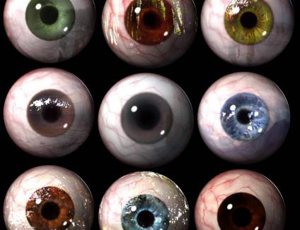 安检检查出尸体,安检竟然查出尸体