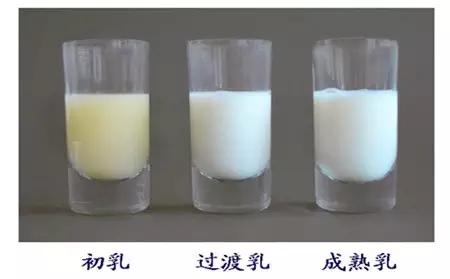 混合喂养怎么母乳越来越少,母乳加奶粉混合喂养对孩子好吗