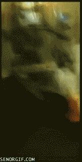 搞笑瑜伽球翻滚,瑜伽球搞笑