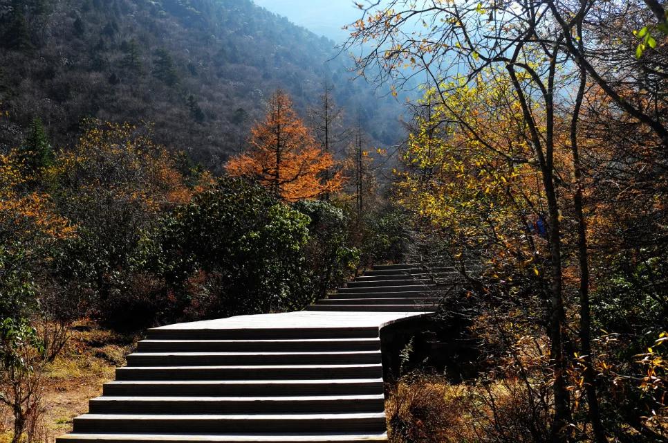 行走在风景里,记录旅游黄龙留下美好回忆