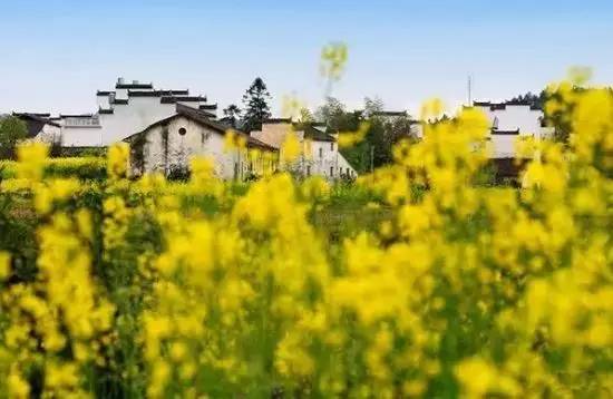 中国每个季节的旅游攻略 (中国一年四季的旅游攻略)