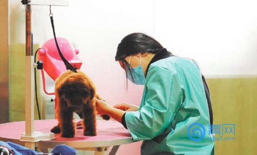 青岛女子花了1000多买东西,青岛女子花一千元逛超市抖音号