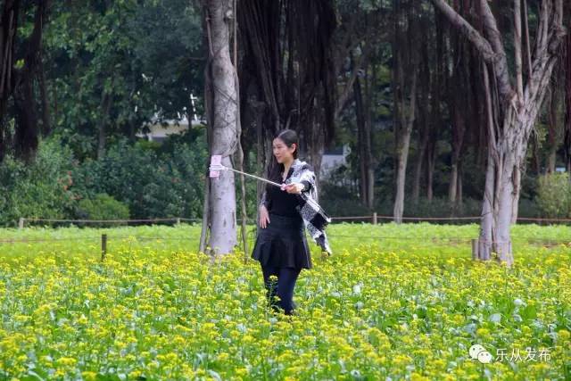 您好，2017年｜阳光灿烂，花果飘香，迎新年这些地方你不得不去！