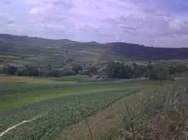 投稿定西,投稿专用话语