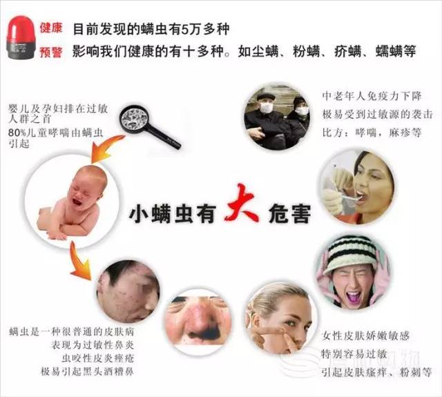 原来每天都和她们睡在一起，你知道吗？