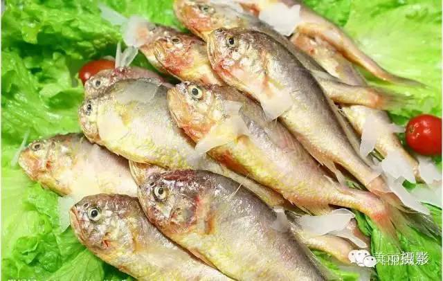 2017年霞浦“海鲜年历”出炉，你知道现在该吃什么吗？