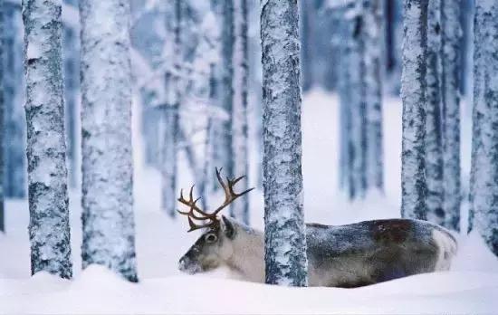 西藏五天旅游路线推荐冬日,冬天西藏3日游最佳路线