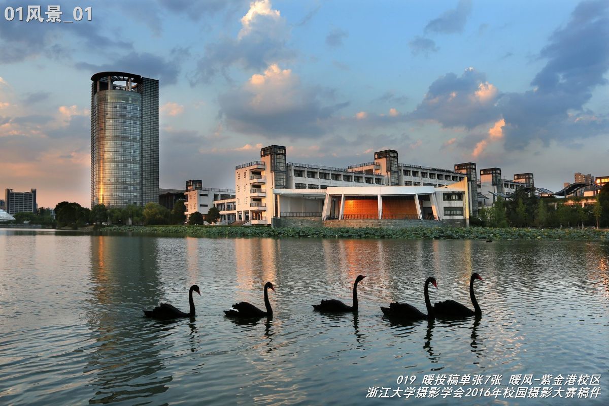 浙江大学是中国最水的大学,一分钟带你了解浙江大学
