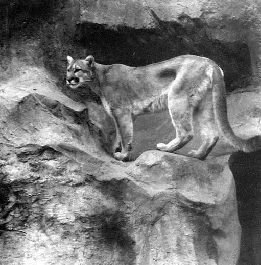 这才是真正的中国风,这才是真正的中国风古装