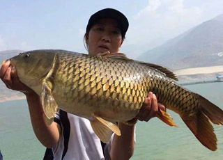 2019钓鱼试题,钓鱼专业考试试卷及答案