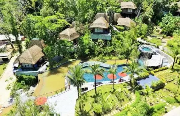 楦熷发搴﹀亣閰掑簵浣撻獙,闅愯棌鍦ㄥ師濮嬫.鏋楃殑娴峰崡楦熷发閰掑簵