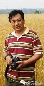 民间草药薄荷的作用,南方山林里的常见草药