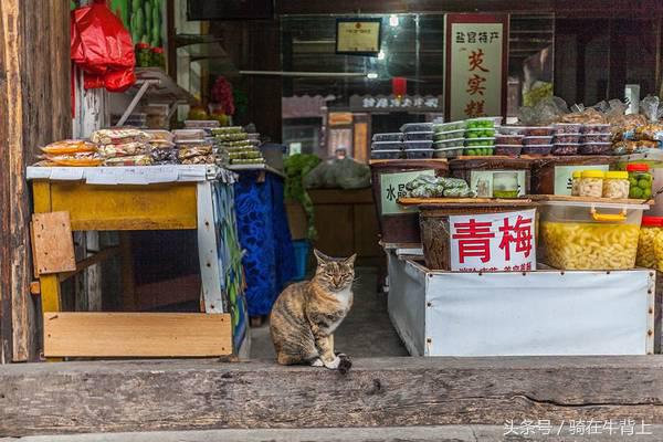 乾隆六下江南去的是哪些地方,徐志摩家乡旅游攻略