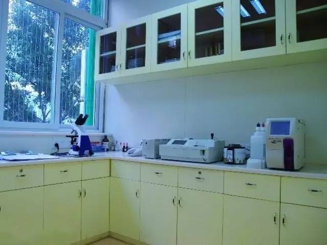 家庭式寄养哪家比较好,家庭式寄养靠谱吗