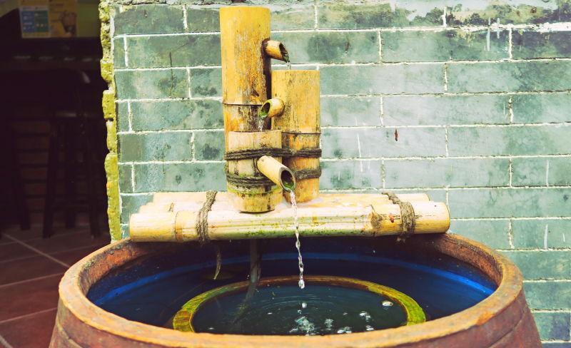 深圳哪里有大片的花海可以欣赏,深圳的花海有多美