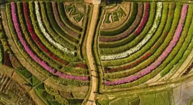 旗溪生活农场团购,旗溪生活农场