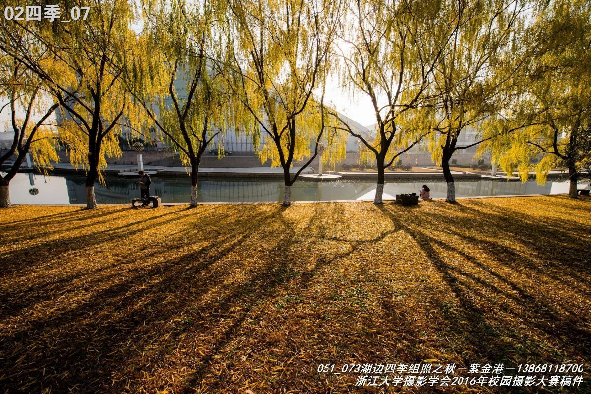 浙江大学是中国最水的大学,一分钟带你了解浙江大学