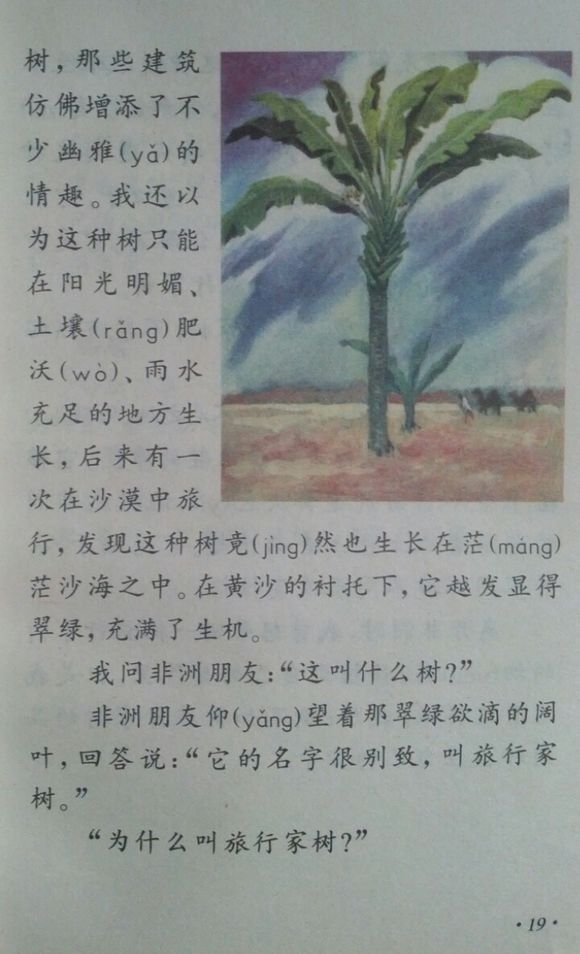 小学四年级，温暖你的童年记忆，老课本的温馨