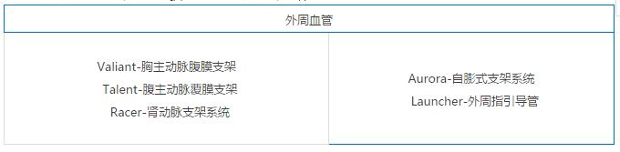 美敦力心脏外科,美国医疗科技巨头美敦力