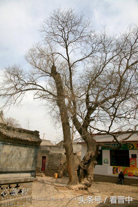 张壁古堡的历史和结构,张壁古堡的来历及简介