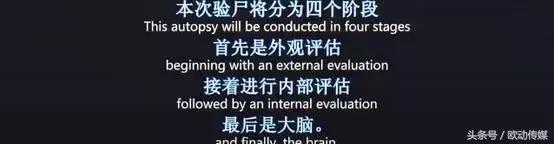 这具尸体一动不动，却制造了年度恐怖大戏！