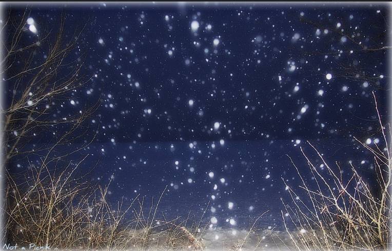 还没来得及到加拿大？那就跟着电影先看看吧！