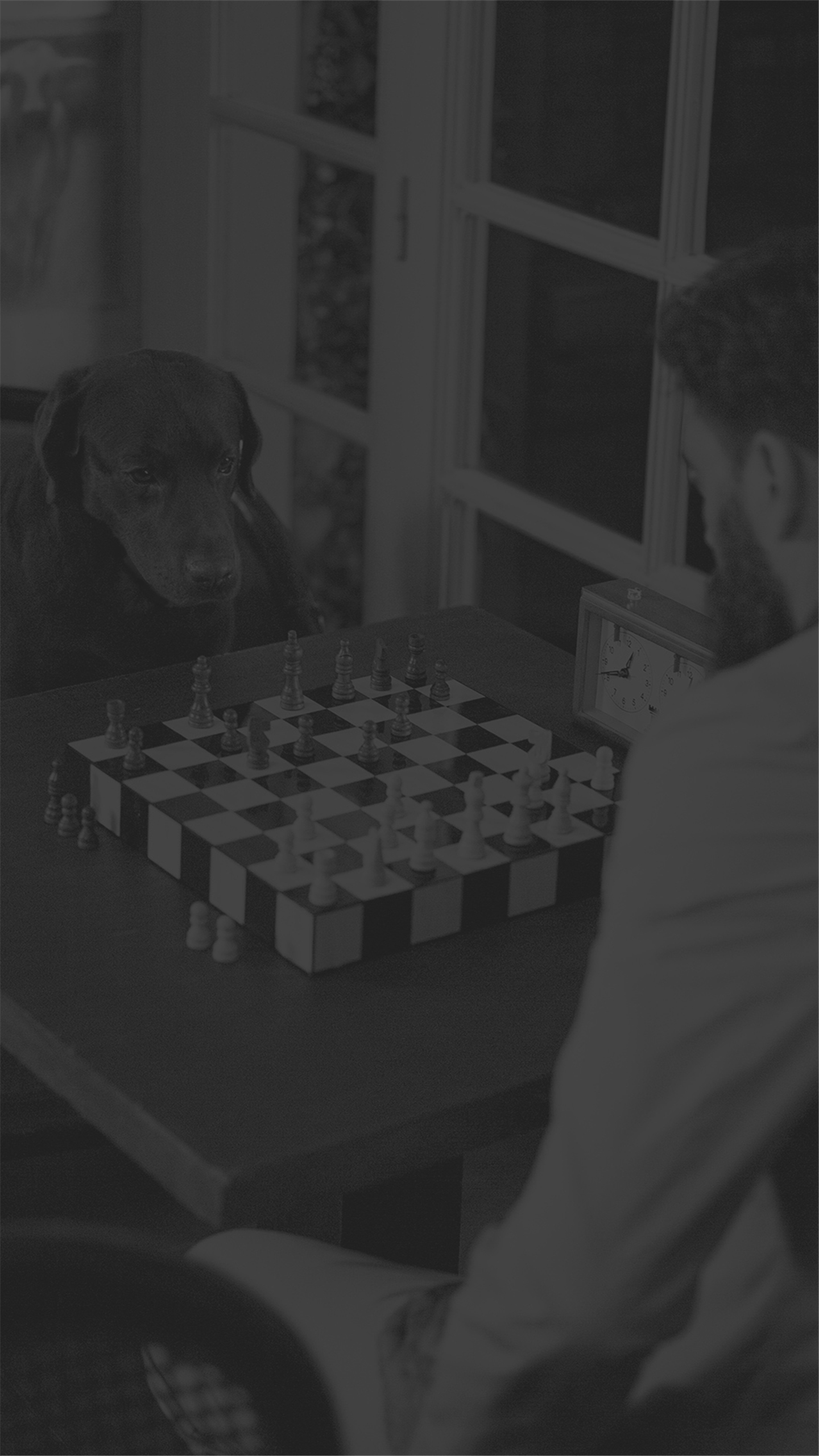 鐑荆澹佺焊ins楂樼骇璐ㄦ劅,鐑荆澹佺焊iphone瓒呮竻4k