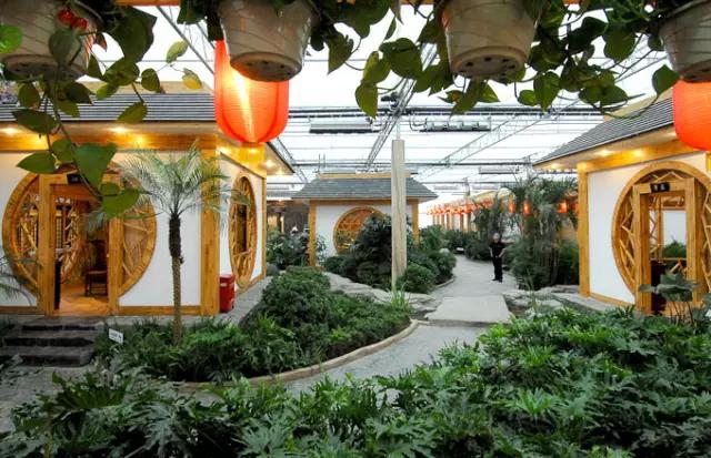 常州农家乐一日游最佳去处带娃,常州好玩的农家乐酒店