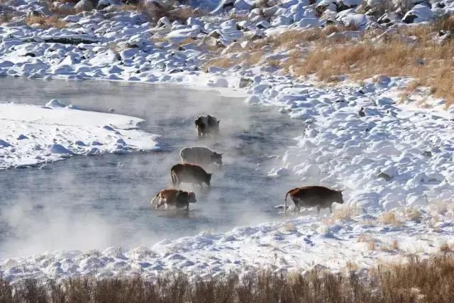 西藏五天旅游路线推荐冬日,冬天西藏3日游最佳路线