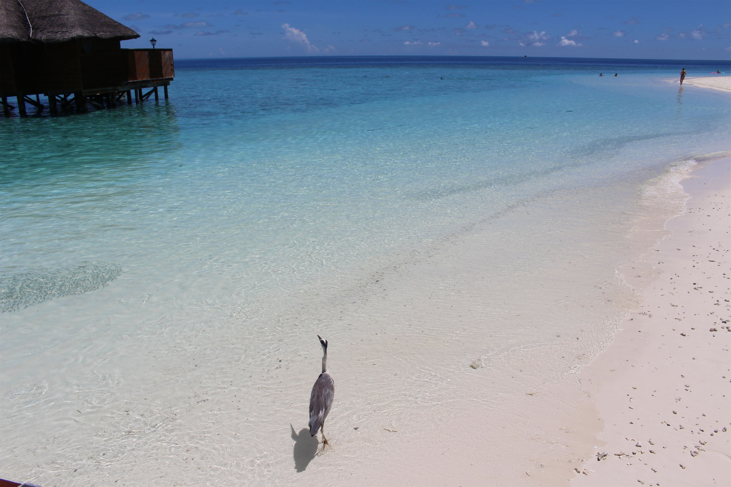 马尔代夫最美景色,最美马尔代夫风景