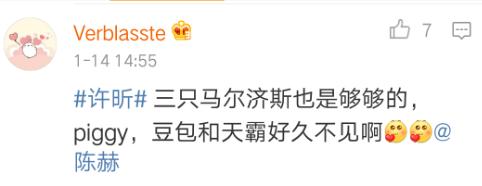 陈赫综艺节目中的狗,陈赫晒萌宠照片狗狗名字太霸气