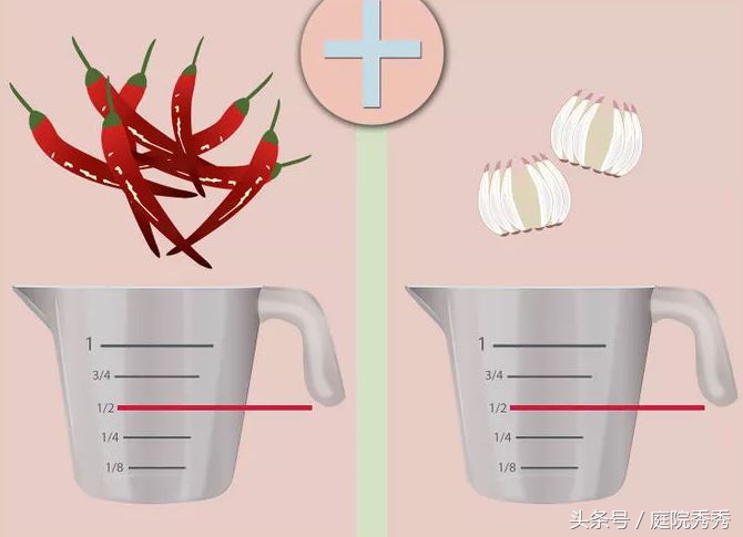 家庭园艺常用杀虫剂,固体杀虫剂使用方法养花