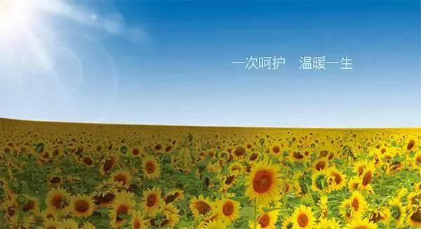 暖宫助孕的瑜伽,暖宫调理瑜伽