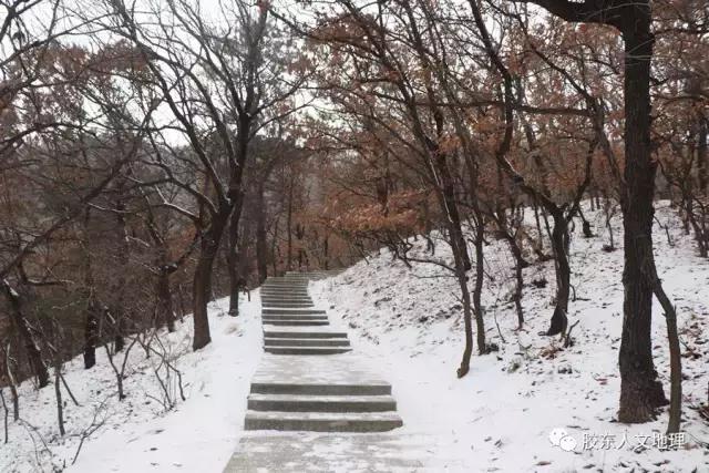 未来的烟台南山公园,南山公园烟台小江南