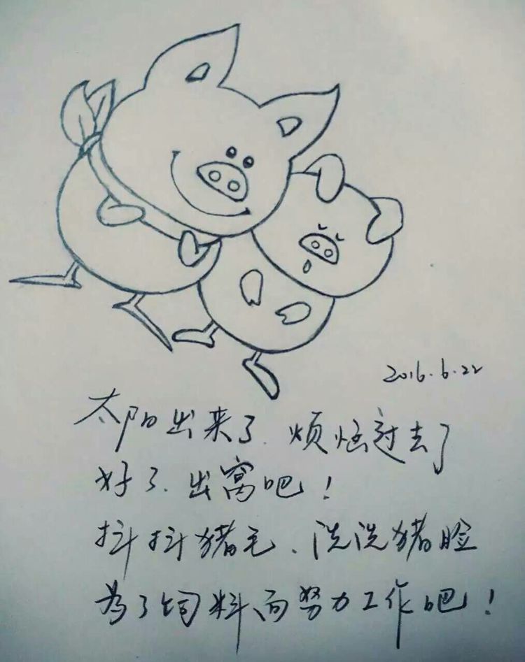 涂鸦的乐趣中班教案反思,涂鸦的乐趣完整版