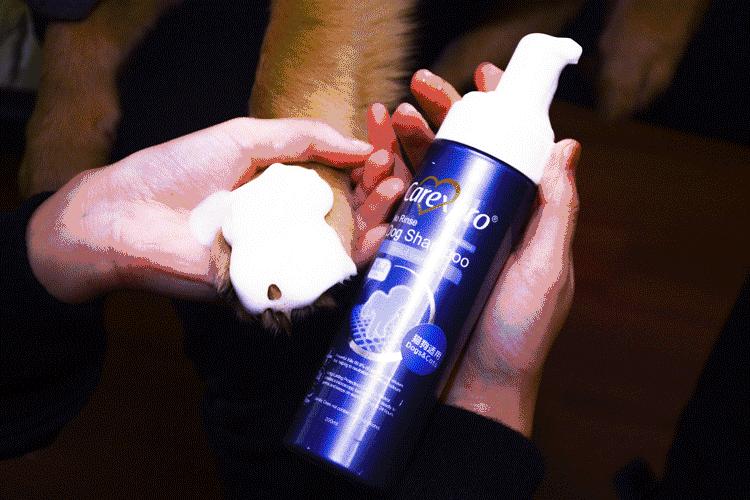 免洗泡沫十大排行榜,免洗泡沫洗手液测评