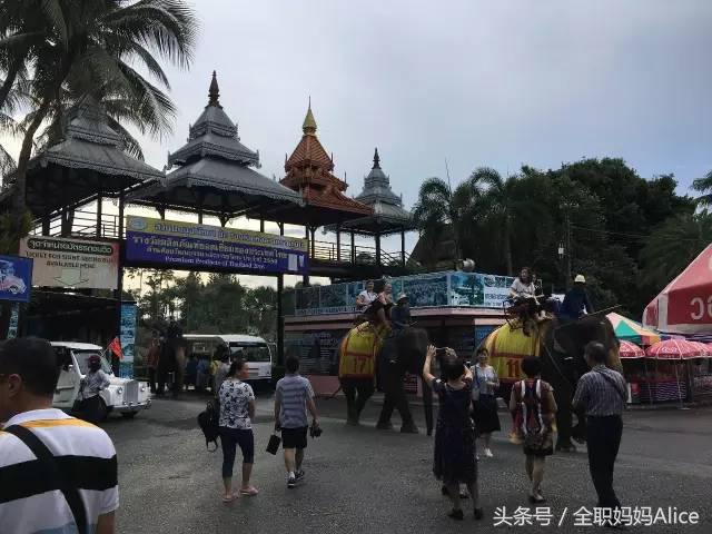 带上宝宝去泰国旅游,泰国旅游带宝贝去哪里